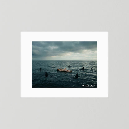 Plastic Free - 01
