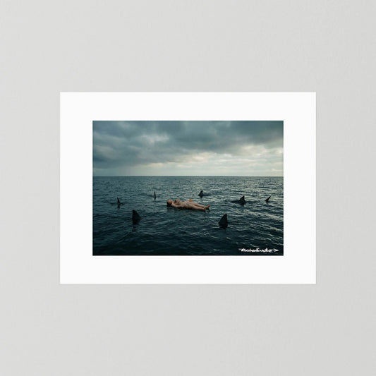 Plastic Free - 01